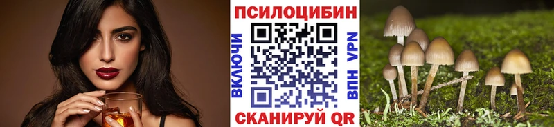 где продают наркотики  Колпашево  Псилоцибиновые грибы Cubensis 